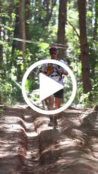 BIB:  <button type="button" onclick="openModal(26569306)" class="btn btn-primary btn-sm float-right" data-toggle="modal" data-target=".modal-high-quality">
                <i class="fa fa-download"></i> Download
                </button>